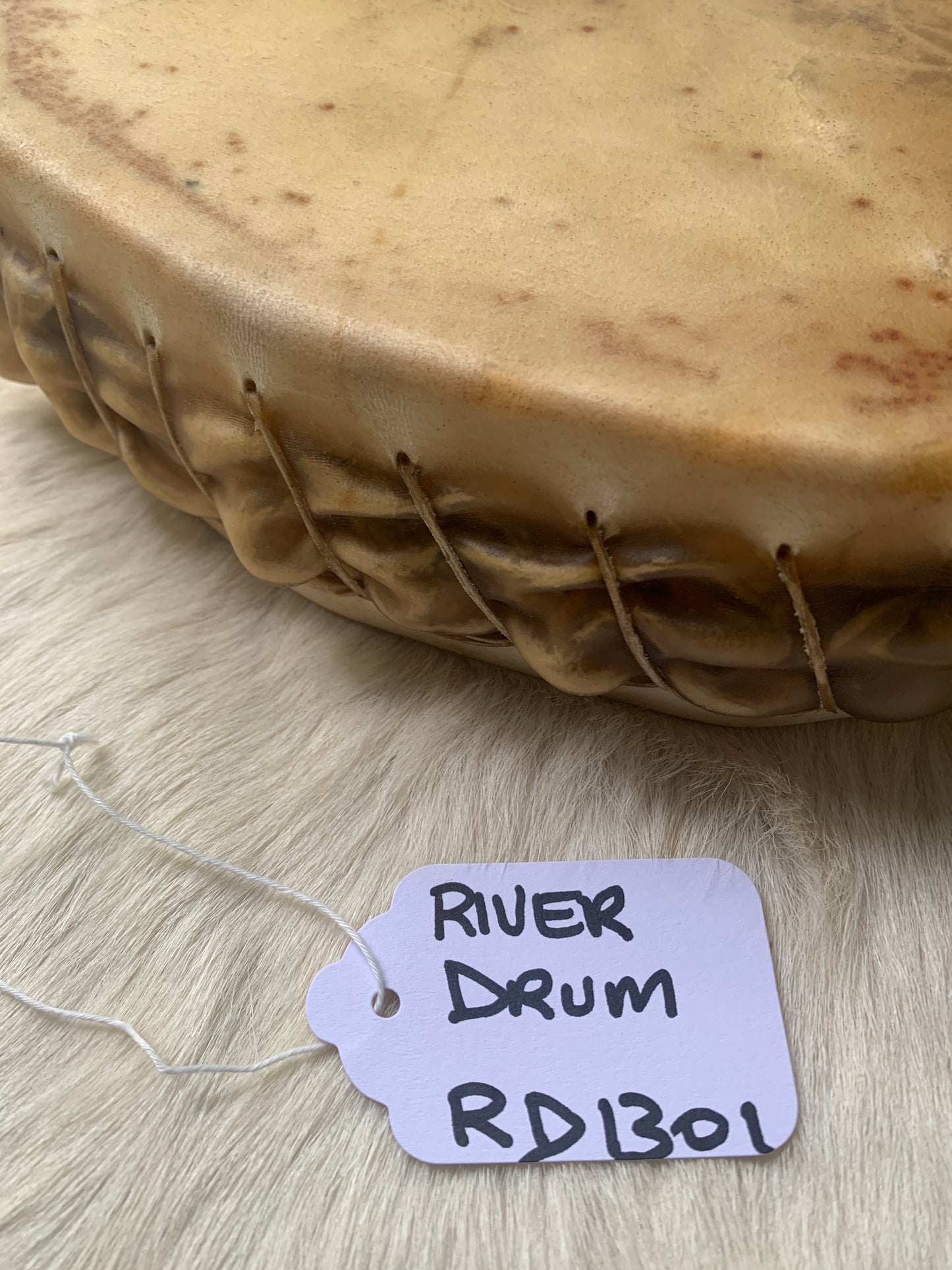 River Drum #1301