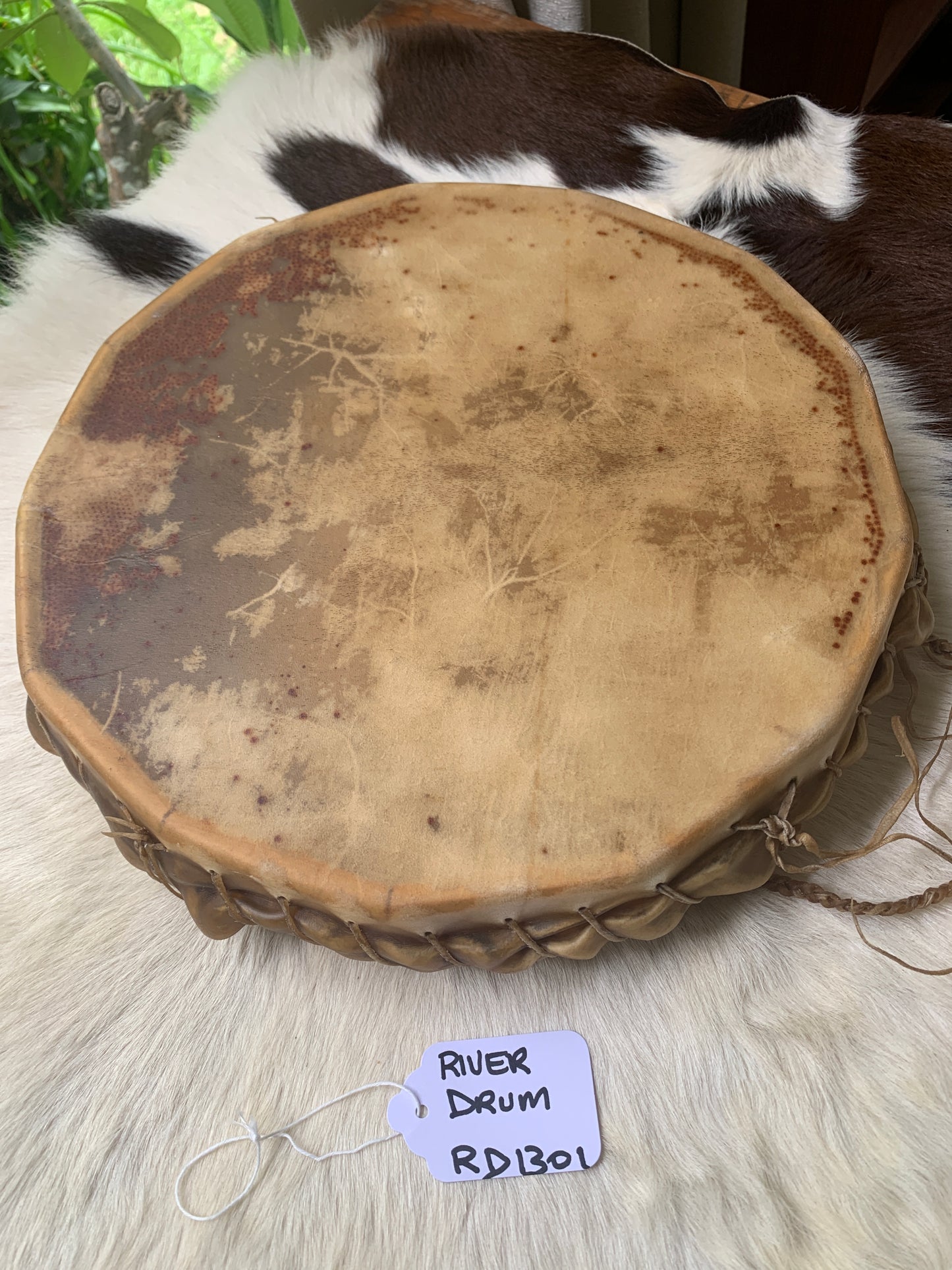 River Drum #1301